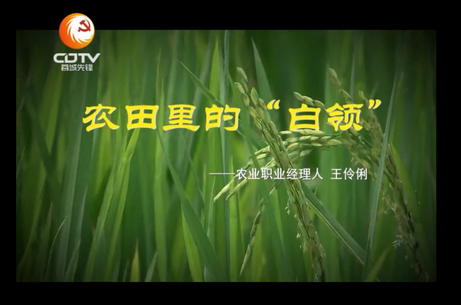 ��������ũ����ġ����족-�������ߵĵ�Ա����175�� 